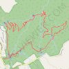 Trace GPS Warrie Loop Trail, itinéraire, parcours