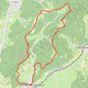 Trace GPS Genießerpfad - Hahn-und-Henne-Runde in Zell am Harmersbach (Premiumweg), itinéraire, parcours