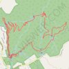 Trace GPS Warrie Circuit - Springbrook National Park, itinéraire, parcours