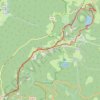 Trace GPS Col de La Schlucht - Le Tanet - Lac Vert, itinéraire, parcours