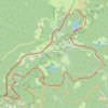 Trace GPS Hirschsteine, le Tanet, le lac Vert, itinéraire, parcours