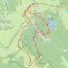 Trace GPS Du Hohneck au Kastelberg par les Spietzkoepfe et le Sentier des Névées, itinéraire, parcours